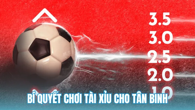 Bí quyết chơi cược tài xỉu bóng đá dành cho tân binh