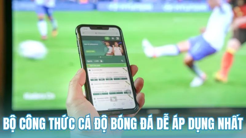 Bộ công thức cá độ bóng đá dễ áp dụng nhất