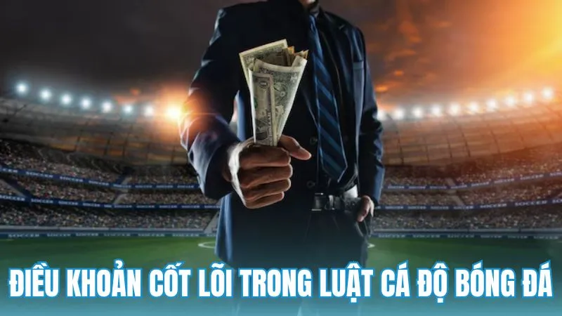 Các điều khoản cốt lõi trong luật cá độ bóng đá