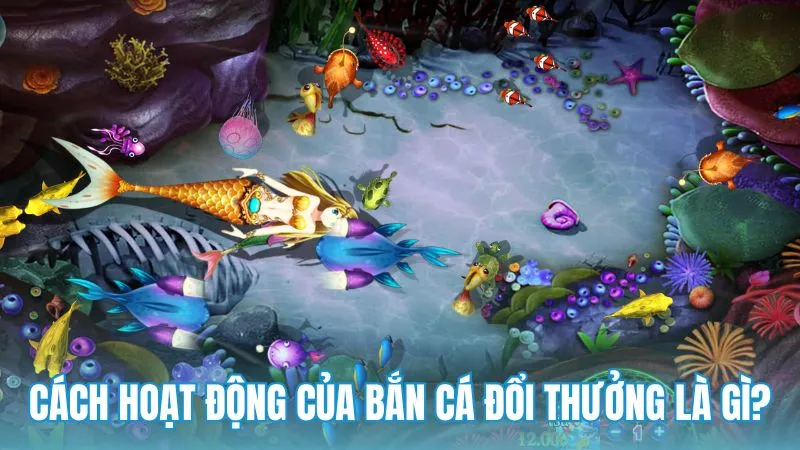 Cách hoạt động của bắn cá đổi thưởng là gì?