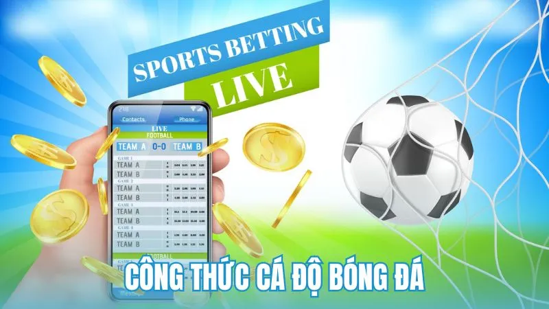 Công thức cá độ bóng đá dành cho người phân tích chuyên sâu