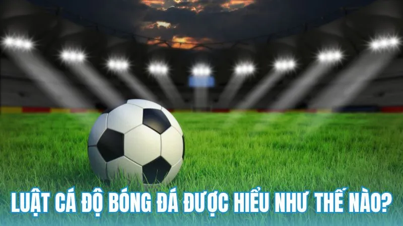 Luật cá độ bóng đá được hiểu như thế nào?