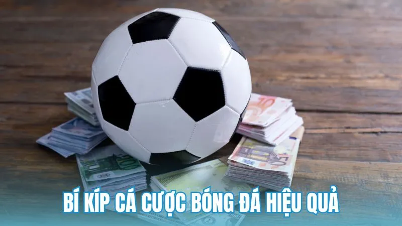 Những lưu ý vàng để tham gia cá cược bóng đá hiệu quả