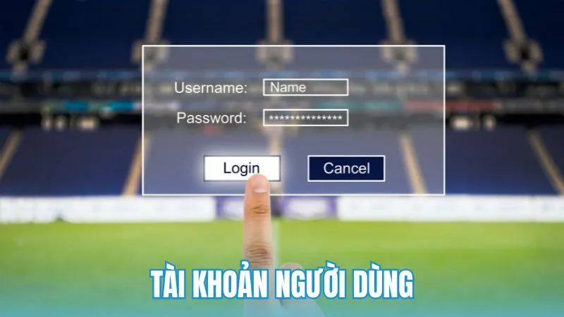 Tài khoản người dùng