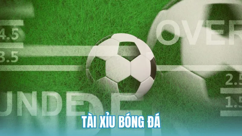 Cách chơi tài xỉu bóng đá hiệu quả dành cho các tân binh