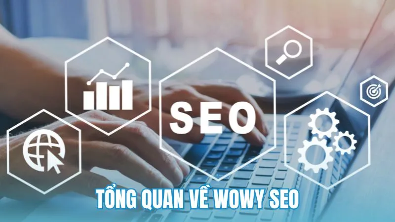 Tổng quan về Wowy SEO