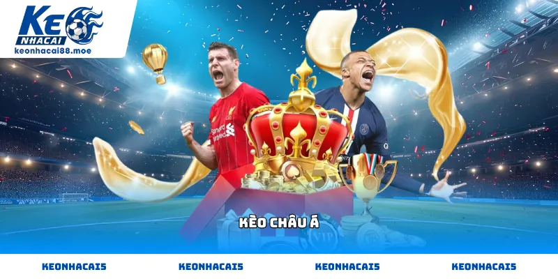 Quy trình từng bước giúp người chơi phân tích và soi kèo bóng đá trực tuyến một cách khoa học.
